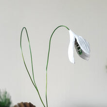 Load image into Gallery viewer, Snowdrop of Hope