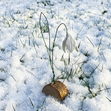 Load image into Gallery viewer, Snowdrop of Hope