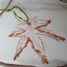 Load image into Gallery viewer, Copper Fallen Maple Leaf