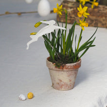 Load image into Gallery viewer, The Wise Hare