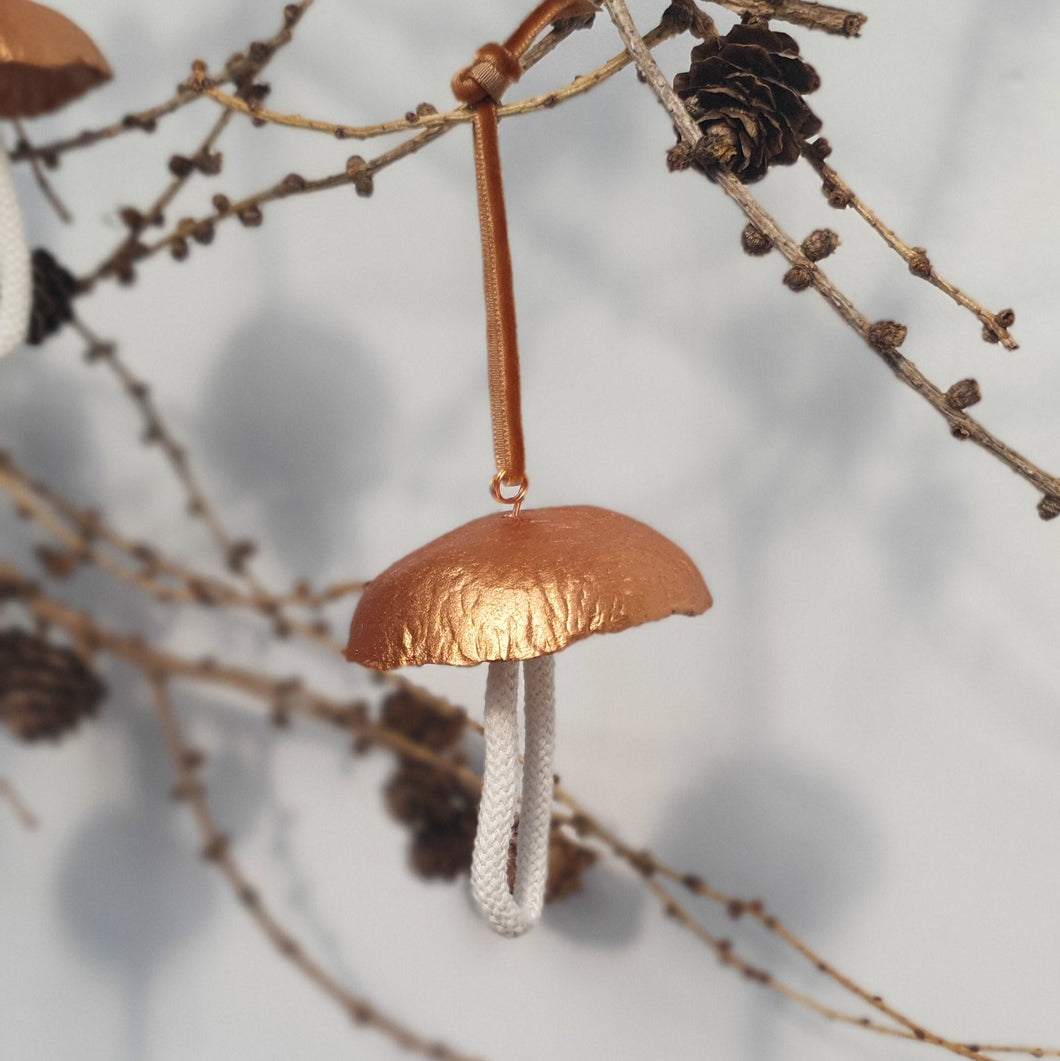 Little Hanging Toadstool